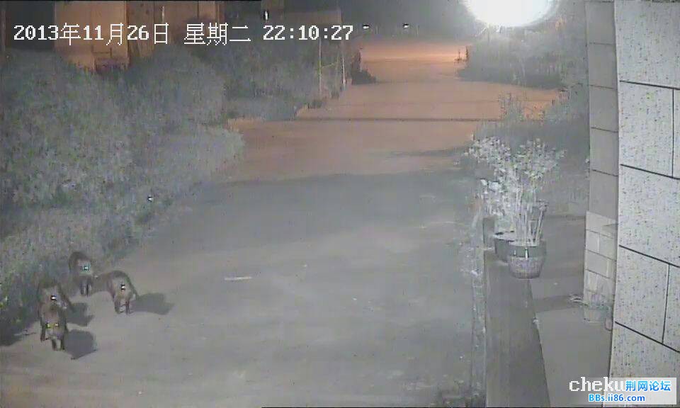 QQ图片20131202203450.jpg
