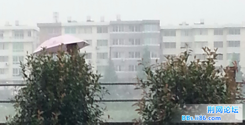 20140531_170014-1.jpg
