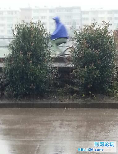 20140531_165727-2.jpg