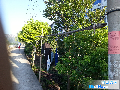 20140730_065454.jpg