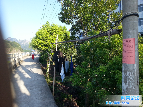20140730_065453.jpg