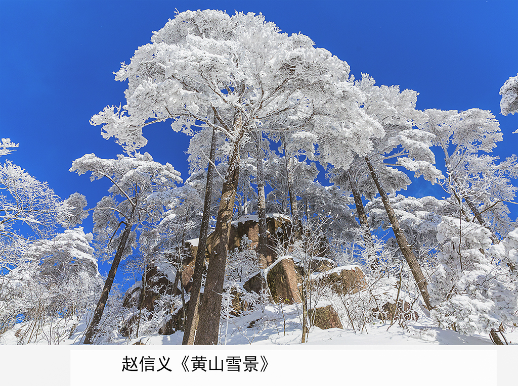 赵信义《黄山雪景》.jpg