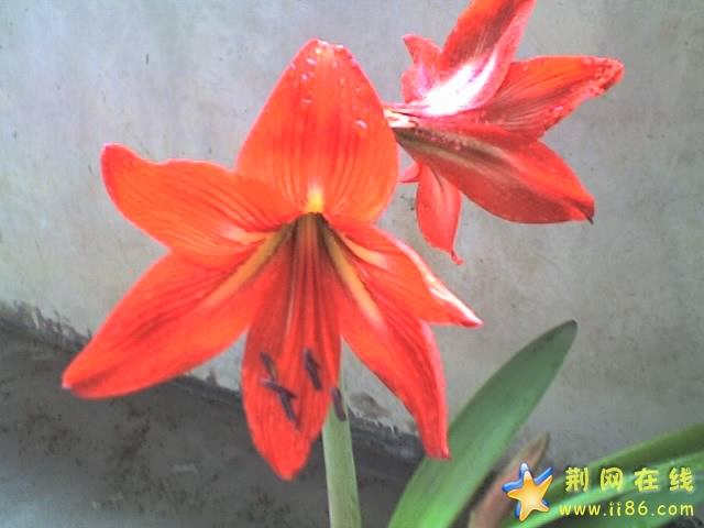 02-05-07_1234.jpg