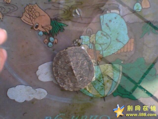 IMG0299A.jpg