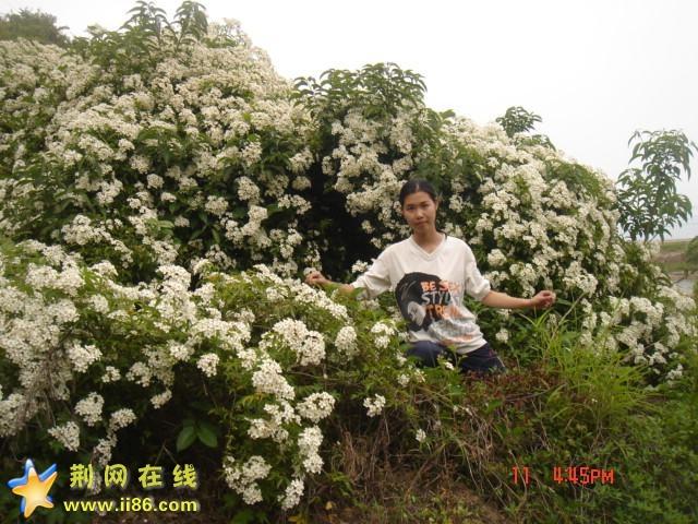 DSC06632.JPG