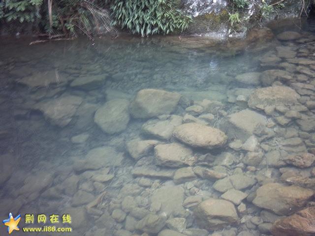 PICT0092.JPG