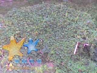 29-07-07_0912.jpg