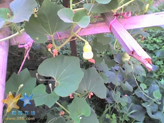 29-07-07_0918.jpg