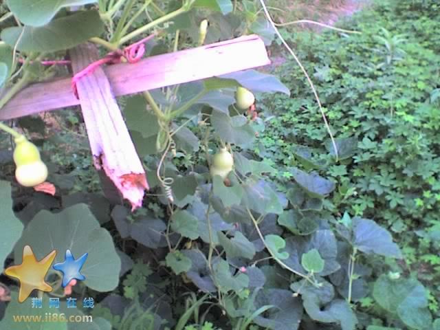29-07-07_0917.jpg