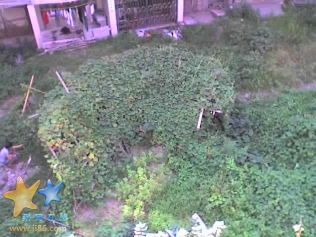 29-07-07_0911.jpg
