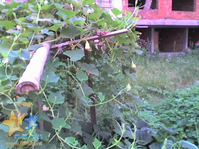 29-07-07_0916.jpg