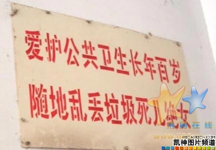 太狠了！！！
