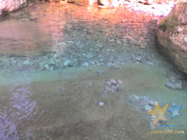 31-08-07_1528.jpg