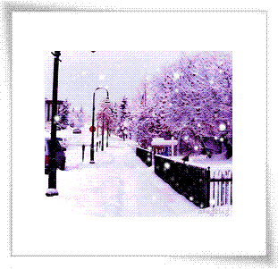 77_24595_70f5709a3c01eb9.gif