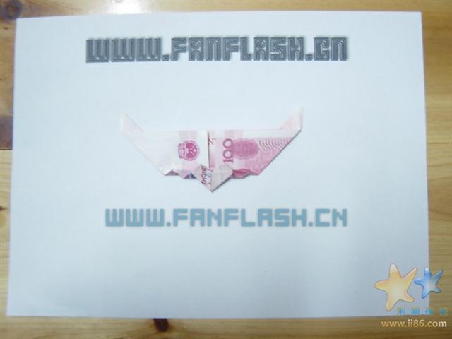 5200721321917v.jpg