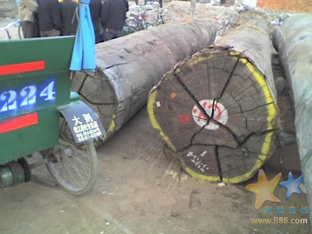07-01-08_1642.jpg