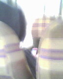 IMG0618A.jpg