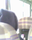 IMG0617A.jpg