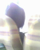 IMG0619A.jpg
