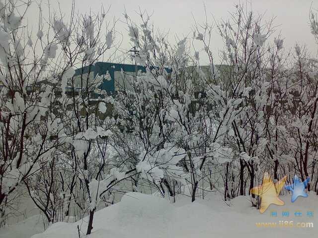雪真的好大