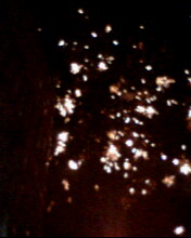IMG0043A.jpg