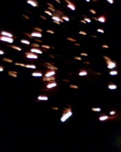 IMG0072A.jpg