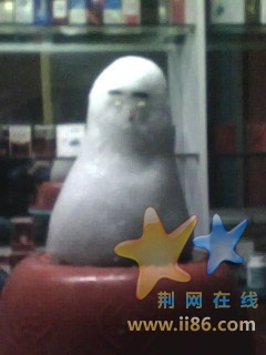e.jpg