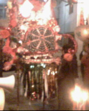 IMG0084A.jpg