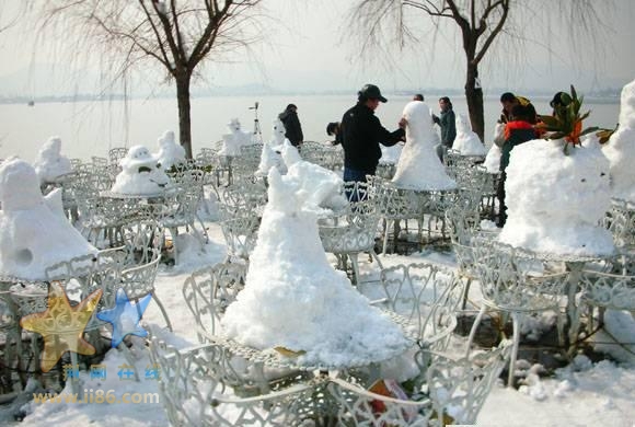 20080211_1724a0d0d780bec599d0j453FYShwhU2.jpg
