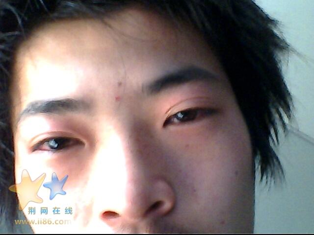 IMG0331A.jpg