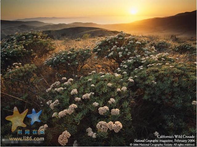 650x486_118baac577d.jpg