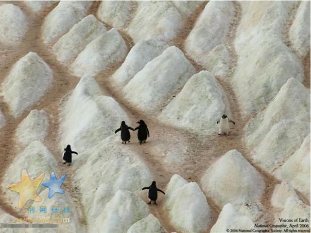 650x486_118baac5726.jpg