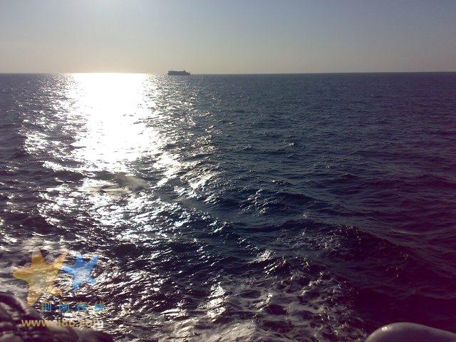 7184016_15764775.jpg