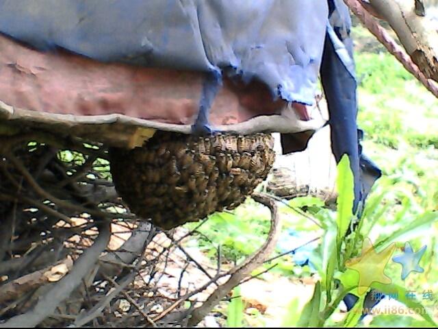 IMG0473A.jpg