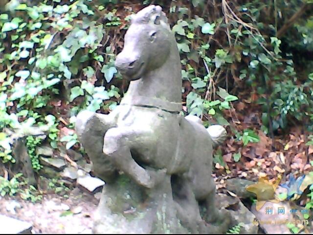 IMG0498A.jpg