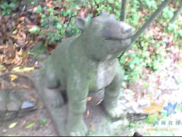 IMG0503A.jpg