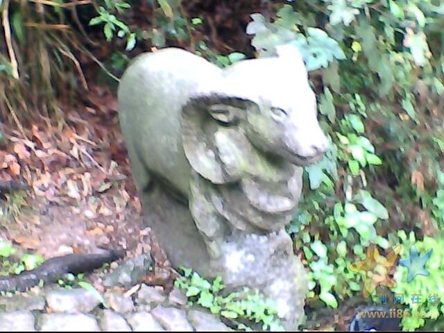 IMG0500A.jpg