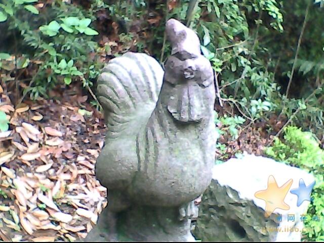 IMG0502A.jpg