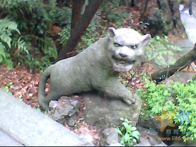 IMG0494A.jpg