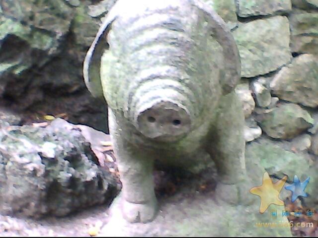 IMG0504A.jpg