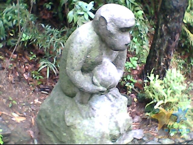 IMG0501A.jpg