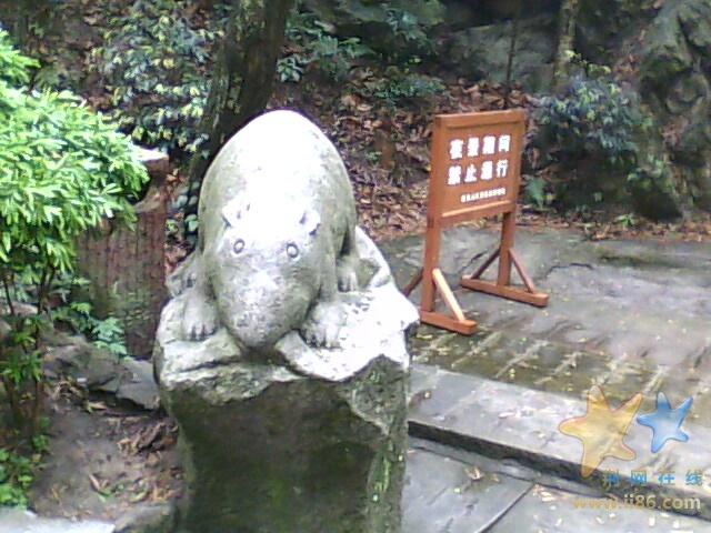 IMG0042A.jpg