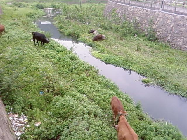 SP_A0288.jpg