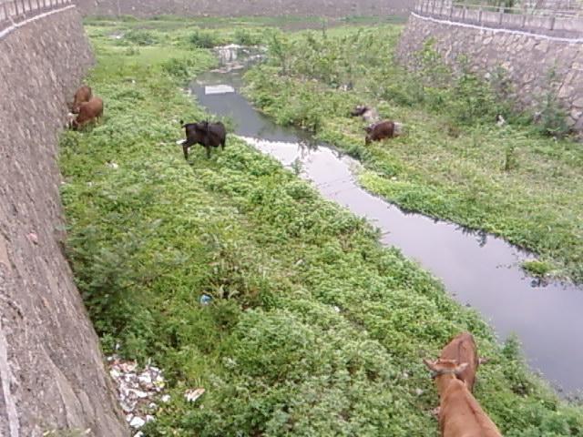 SP_A0285.jpg
