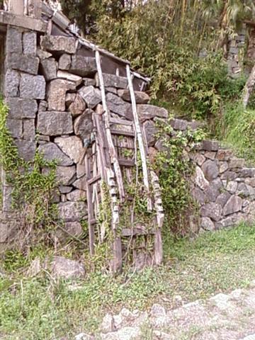 SP_A0281.jpg