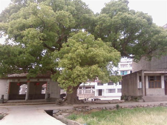 SP_A0422.jpg