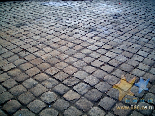 炮台里盛宅道地