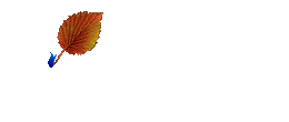 http_imgload.gif