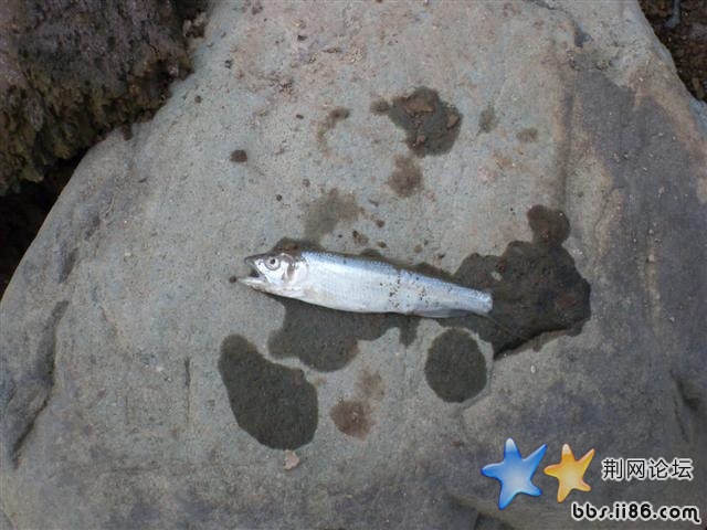 SDC10643.JPG