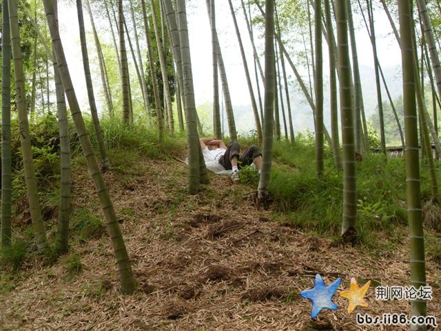 SDC10567.JPG